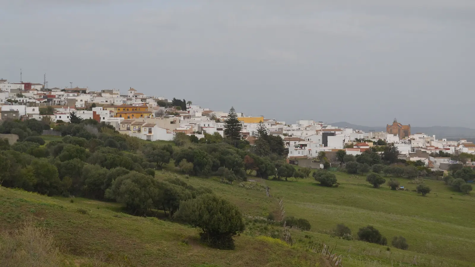 Case imbiancate di Benalup-Casas Viejas su un pendio sopra campi verdi e ulivi sotto un cielo grigio