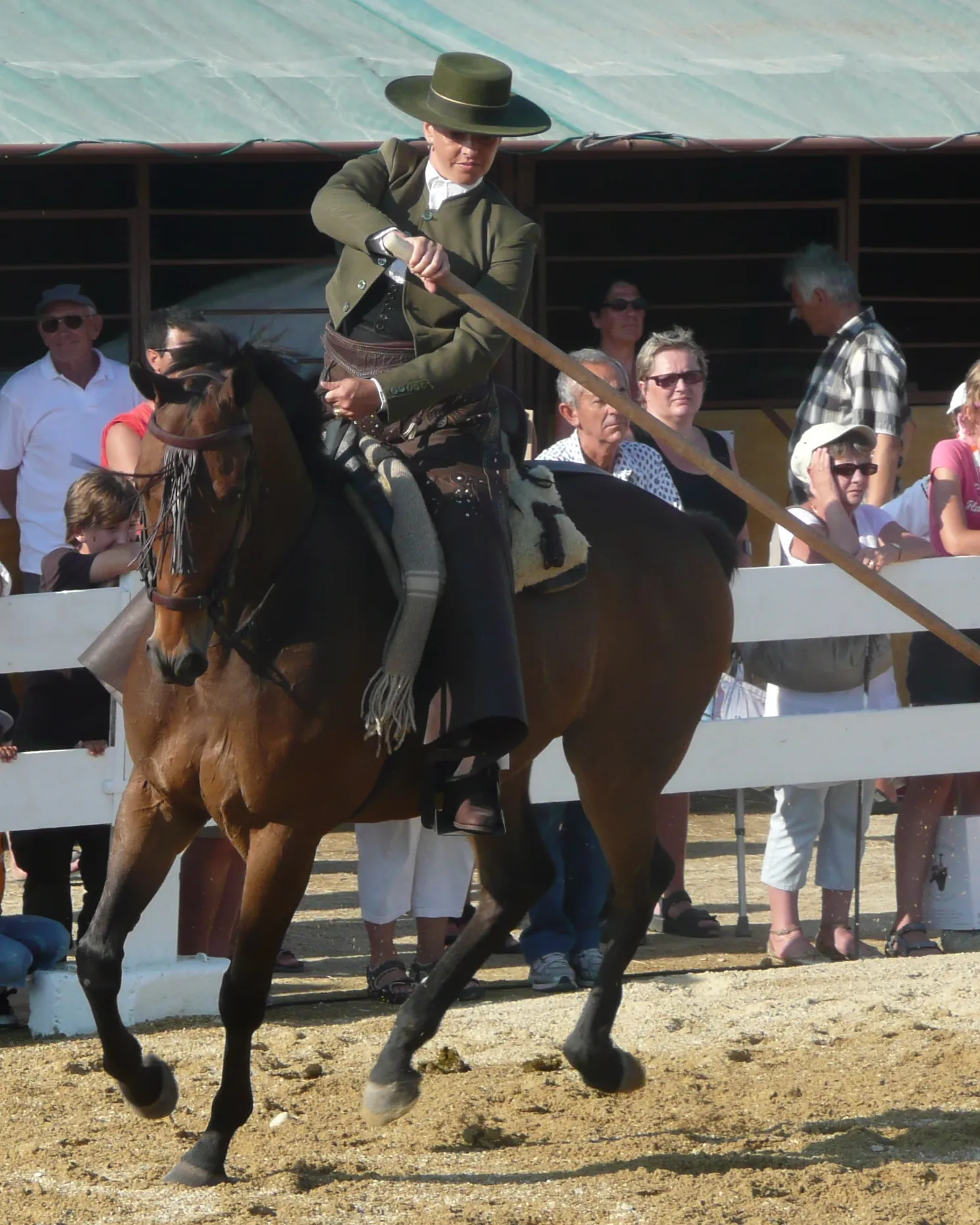Un cavaliere con giacca verde e cappello a tesa larga su un cavallo baio scuro si sporge in avanti impugnando un lungo palo durante una dimostrazione di doma vaquera in Francia, con spettatori dietro una staccionata bianca